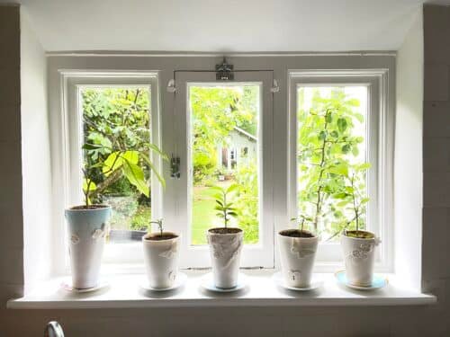 Starting small! Flower pots.